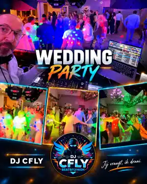 Wedding party.jpg