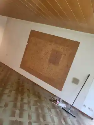 reinigungsfirma_offenbach_Richter_Räumungsservice_2.jpg