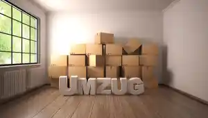 entrumpelung_frankfurt-am-main_UmHaus24.de_2.jpg