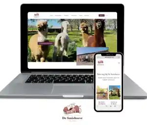 Website + Applicatie.jpg