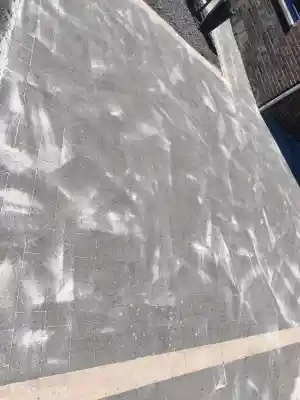 schoonmaakbedrijf_dilsen-stokkem-stokkem_Aureon_exterior_care__3.jpg