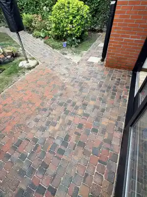 Terras reiniging + nieuw voegzand.jpg