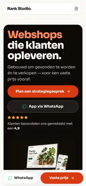 online-marketing_sintjohannesga_Rank_Studio_2.jpg