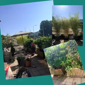 schoonmaakbedrijf_zoetermeer_Stemanonderhoudsbedrijf_4.jpg
