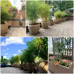schoonmaakbedrijf_zoetermeer_Stemanonderhoudsbedrijf_5.jpg