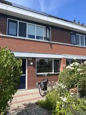 Deniz Multidiensten.jpg