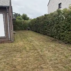 tuinaanleg-en-tuinonderhoud_hasselt-kuringen_Gemaaid_7.jpg