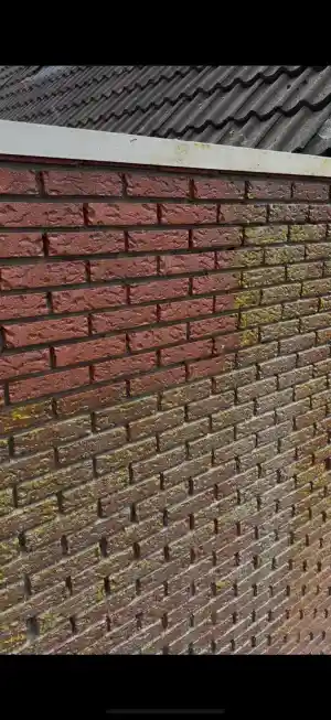 gevelrenovatie_borger_Sirius-gevelzorg_3.jpg