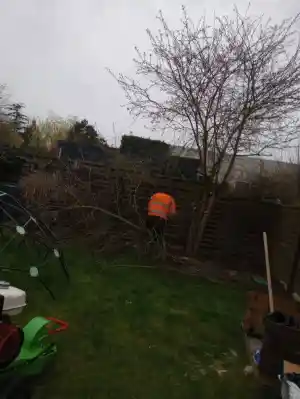 tuinaanleg-en-tuinonderhoud_zottegem-leeuwergem_Tuinen_Elias__2.jpg