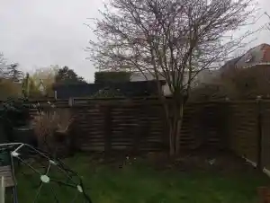 tuinaanleg-en-tuinonderhoud_zottegem-leeuwergem_Tuinen_Elias__4.jpg