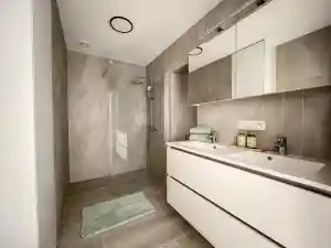 schilder_gent_Domus_Totaalrenovaties_4.jpg