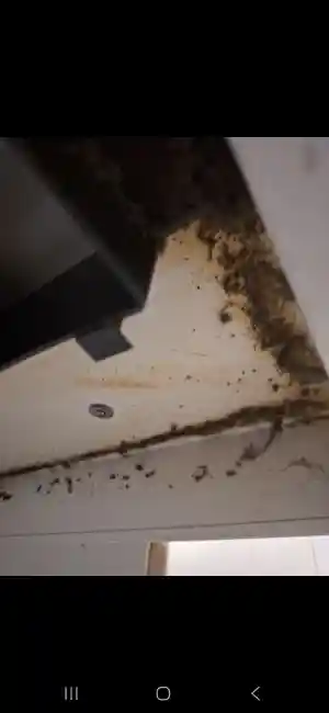 schoonmaakbedrijf_venlo_CleanWave_4.jpg