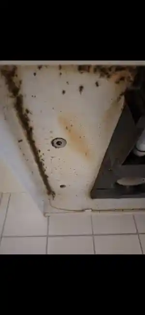 schoonmaakbedrijf_venlo_CleanWave_3.jpg