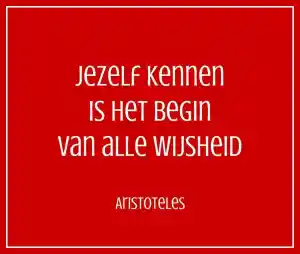 mediator_heinkenszand_ROB_@_LEAD2SUSTAIN_|_Training_&_Coaching_2.jpg