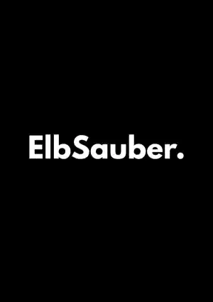 reinigungsfirma_sch%C3%B6nebeck-elbe_ElbSauber_3.jpg