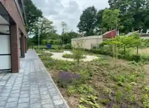 hovenier_nieuwstadt_Eussen_landscaping_3.jpg