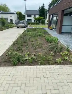 hovenier_nieuwstadt_Eussen_landscaping_5.jpg