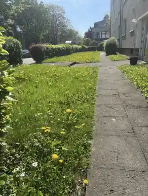hausmeisterservice_niederkassel_E&E_Objektservice__3.jpg