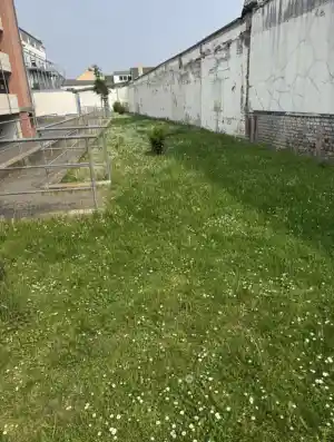 hausmeisterservice_niederkassel_E&E_Objektservice__5.jpg