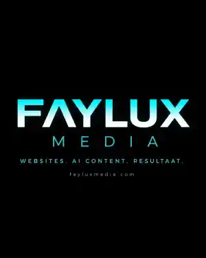 webdesign_enschede_Faylux_Media_6.jpg