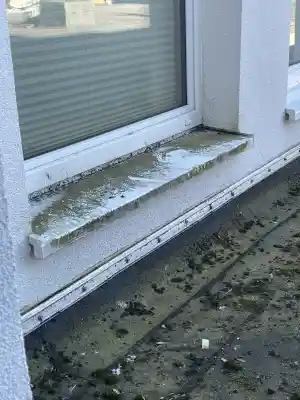 reinigungsfirma_norderw%C3%B6hrden_Reinigungsservice_Wattenmeer_2.jpg