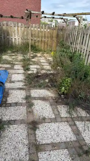Tuin onkruid vrij maken.jpg