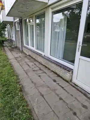 hovenier_rotterdam_Maak_en_Fiks_5.jpg