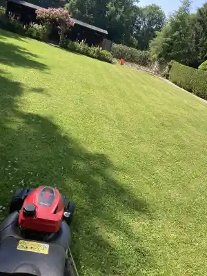 maler_dingolfing_Hausmeister_Service_Julien_4.jpg
