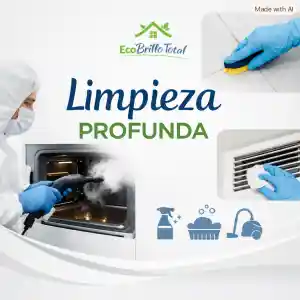 empresa-de-limpieza_azuqueca-de-henares_Eco_Brillo_Total_4.jpg