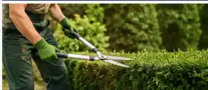 hausmeisterservice_ochtrup_Jäger's_Allround_Hausmeister_Service_7.jpg