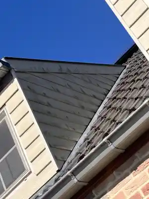 glazenwasser_herselt_Lio_WindowCare_4.jpg