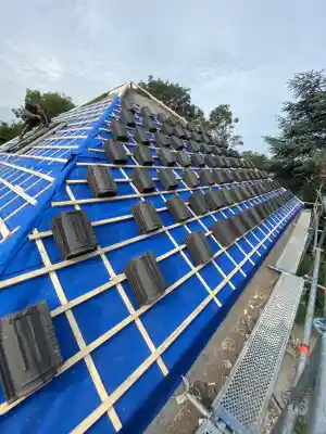 dakgoot_den-bosch_Force_Vastgoed_Onderhoud_5.jpg