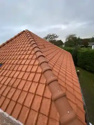 dakgoot_den-bosch_Force_Vastgoed_Onderhoud_2.jpg