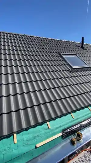 dakgoot_den-bosch_Force_Vastgoed_Onderhoud_6.jpg