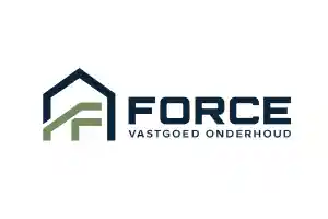 dakgoot_den-bosch_Force_Vastgoed_Onderhoud_2.jpg