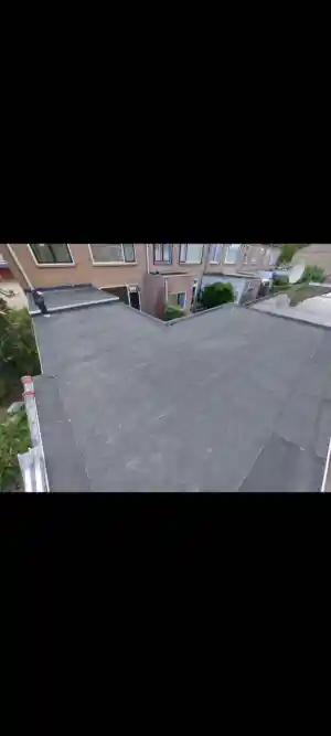 dakgoot_den-bosch_Force_Vastgoed_Onderhoud_3.jpg