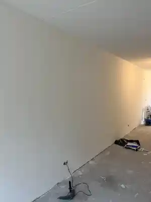 hovenier_enschede_NY_cleaning_2.jpg