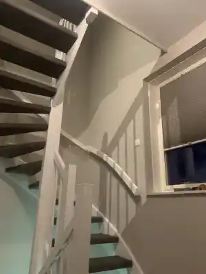 hovenier_enschede_NY_cleaning_7.jpg