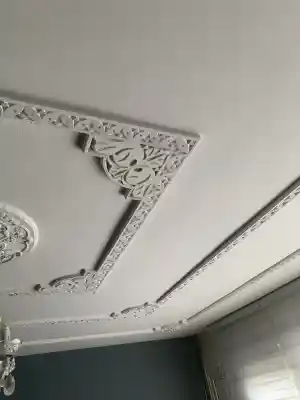 hovenier_enschede_NY_cleaning_4.jpg