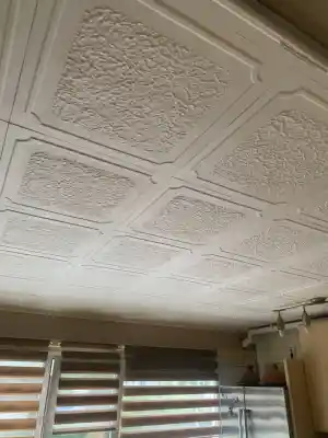 hovenier_enschede_NY_cleaning_3.jpg