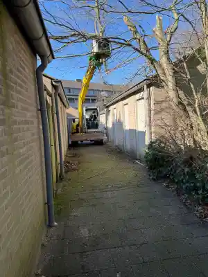 boomverzorging_reusel_Rijkers_Groen_&_Grondwerken_5.jpg