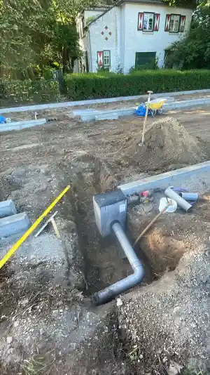 boomverzorging_reusel_Rijkers_Groen_&_Grondwerken_4.jpg
