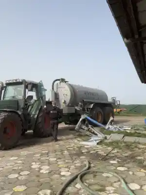 boomverzorging_reusel_Rijkers_Groen_&_Grondwerken_3.jpg
