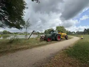 boomverzorging_reusel_Rijkers_Groen_&_Grondwerken_2.jpg