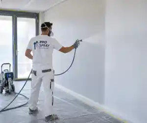 schilder_alphen-aan-den-rijn_Pro_spray_Nederland_3.jpg