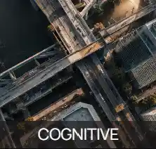 coaching_rotterdam_TRIAD_Intelligence_Advisory_2.jpg