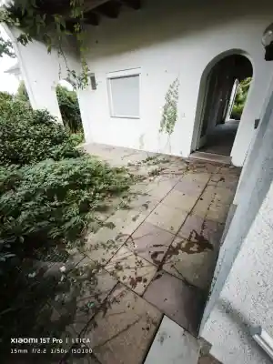 Entrümpelung Einfamilienhaus 190m².jpg