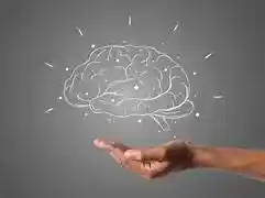 psicologos_pozuelo-de-alarcon_PsyVitae_Psicólogos_2.jpg
