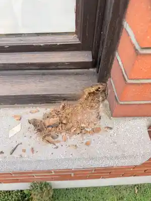 Buiten schrijnwerk + schilderwerken.jpg