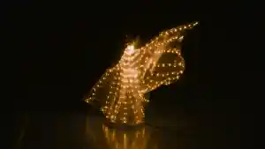 videograaf_beringen_Artcher_Entertainment_6.jpg